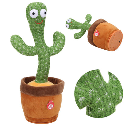 Cactus Bailarín