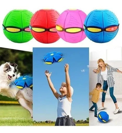 Pelota Frisbee